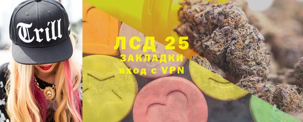 ГАЛЛЮЦИНОГЕННЫЕ ГРИБЫ Алексин