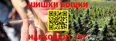 дмт Аргун