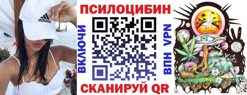 Галлюциногенные грибы Psilocybine cubensis  kraken tor  Богородск  наркотики 