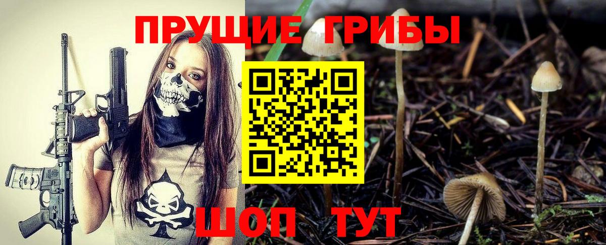Богородск  Галлюциногенные грибы Psilocybine cubensis  Вход с VPN 